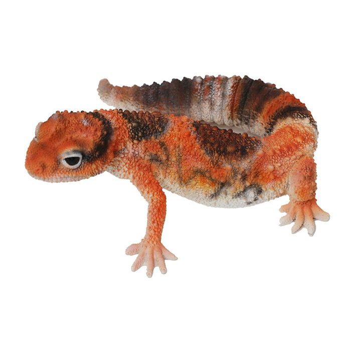 ニシアフリカトカゲモドキ FAT TAILED GECKO フィギュア マグネット ギフト magnet｜firstaid｜02