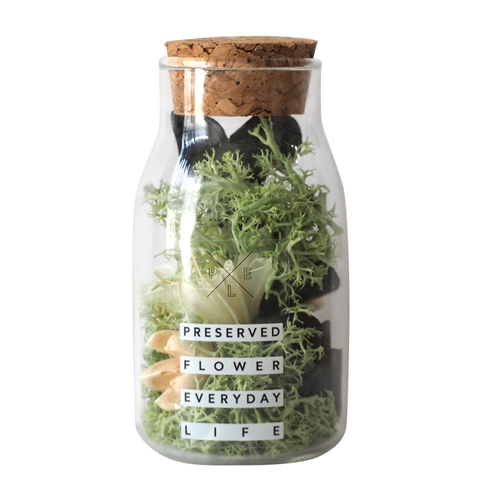 モスボトル PFEL プリザーブドフラワー プリザーブド 天然 ボトル フラワー 生花 ギフト magnet | magnet | 04