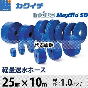 半額】 エバラ 水中ポンプ 22EX26.4S 50mm 電源：100V 60Hz(西日本用