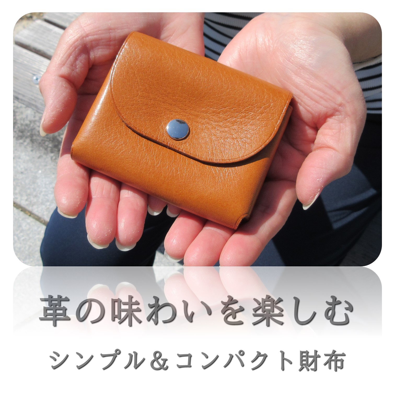 sng-coincase-l95.jpg