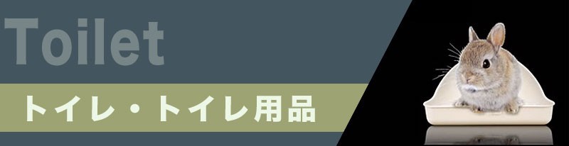 熱帯魚通販のネオス - チンチラ・モルモット・デグー（小動物・鳥）｜Yahoo!ショッピング