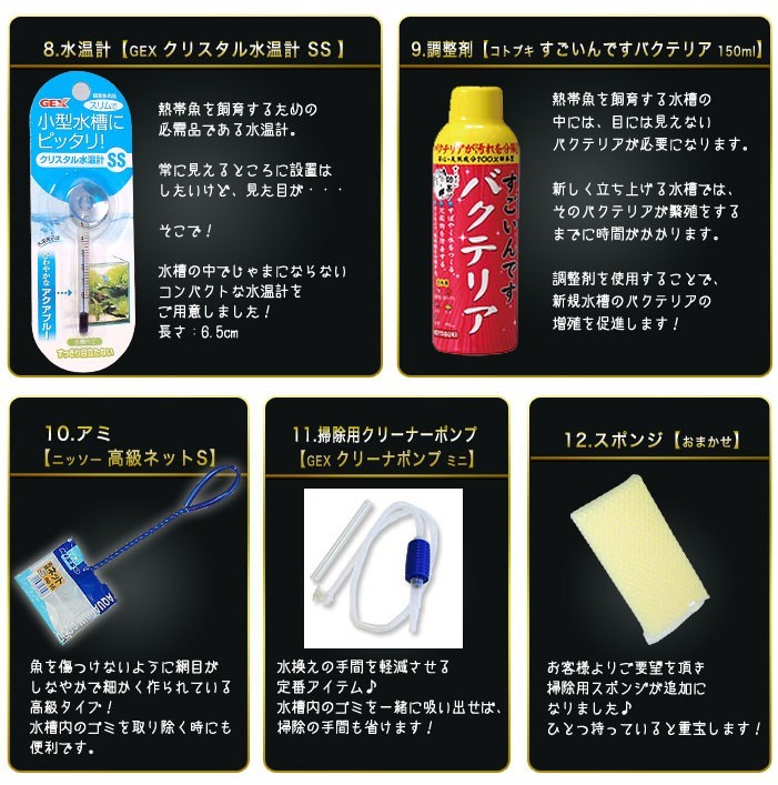 アクアリウム 用品)送料無料 14点 45cm 水槽セット ビギナーから経験 