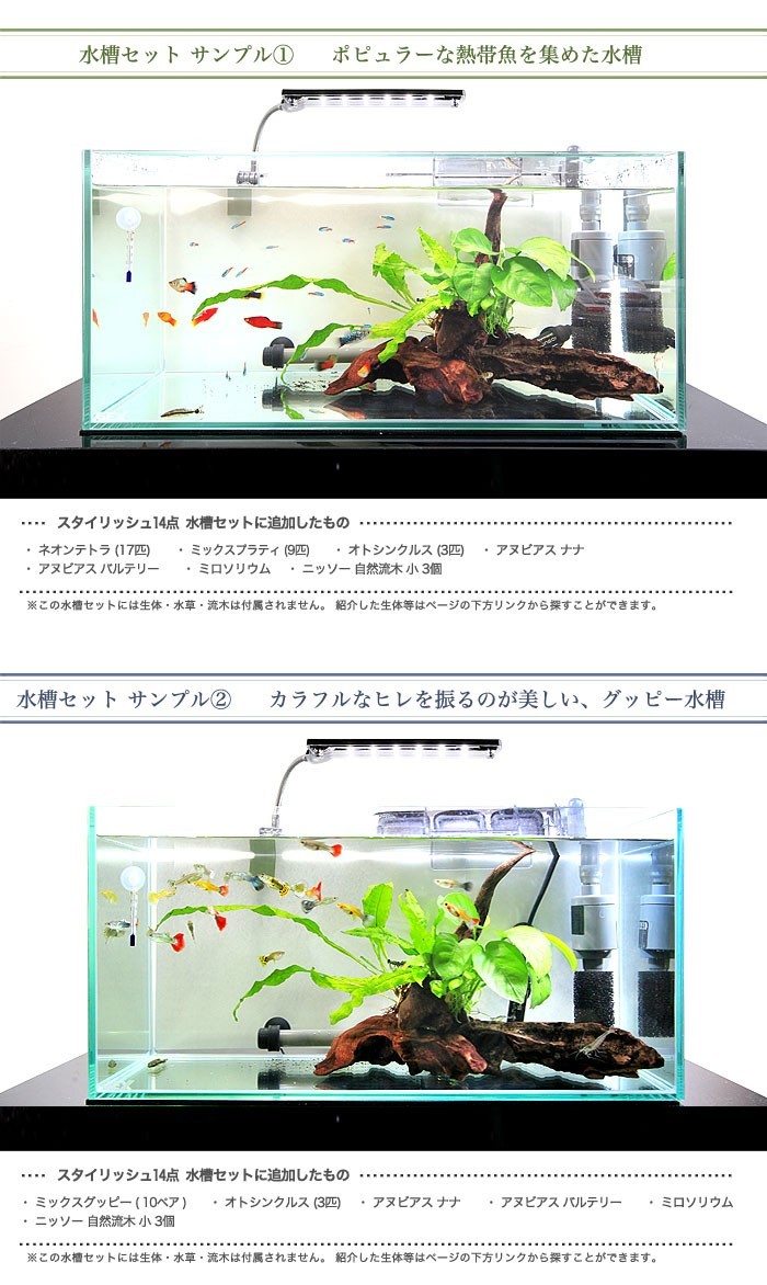 アクアリウム 用品)送料無料 14点 45cm 水槽セット ビギナー