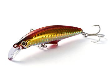 4511729678730_162m_vari.jpg?size=n