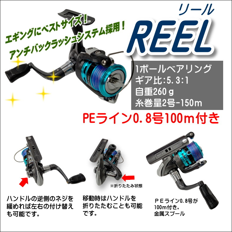 エギ 14個セット ジッパーケース付き ラトルエギ王DUAL DAIWA