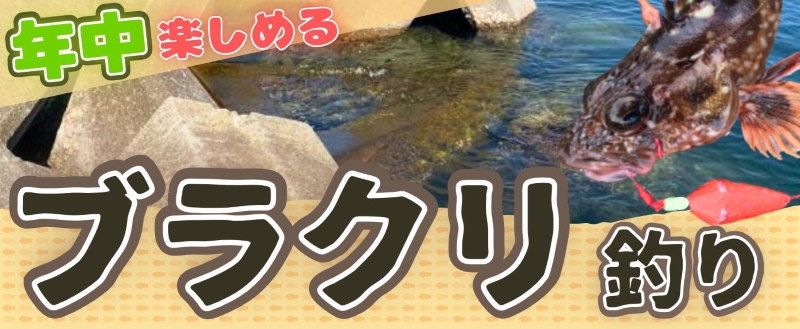フィッシング遊 mqdefault.jpg