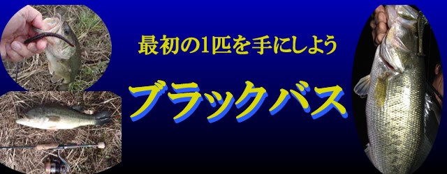 フィッシング遊web店 - バスフィッシング入門（川・池・湖）｜Yahoo 