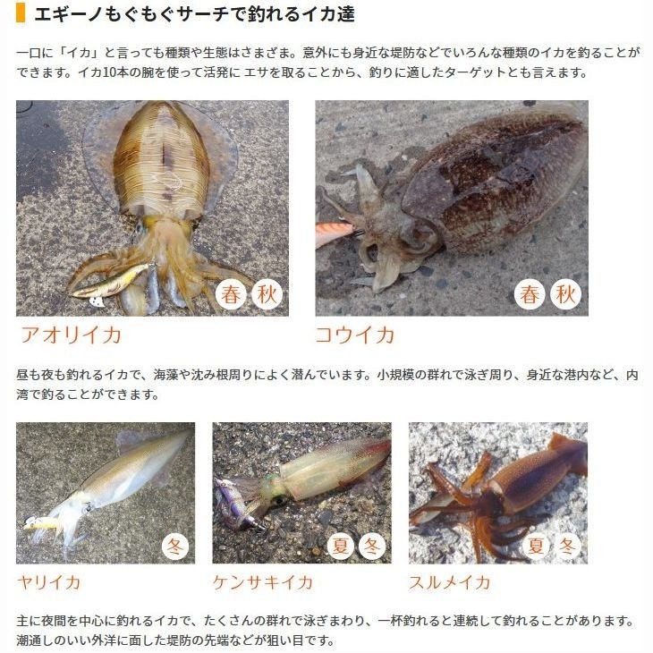 YAMASHITA（ヤマシタ） エギーノ もぐもぐサーチ 3.2号 20g エギング