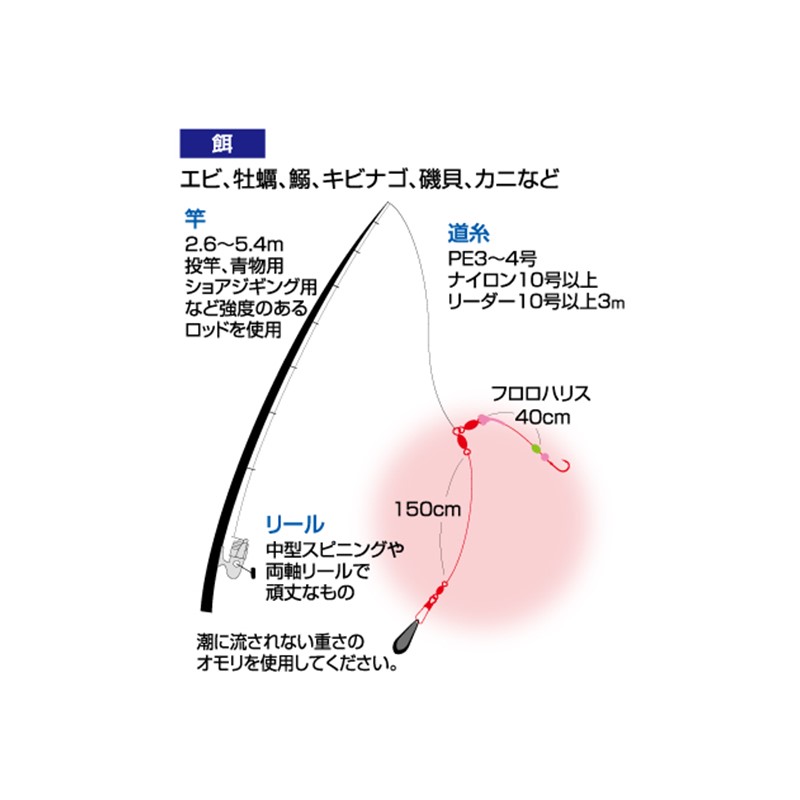 H-6276 ぶっ込みコブダイモンスター Lサイズ オーナー 爆買