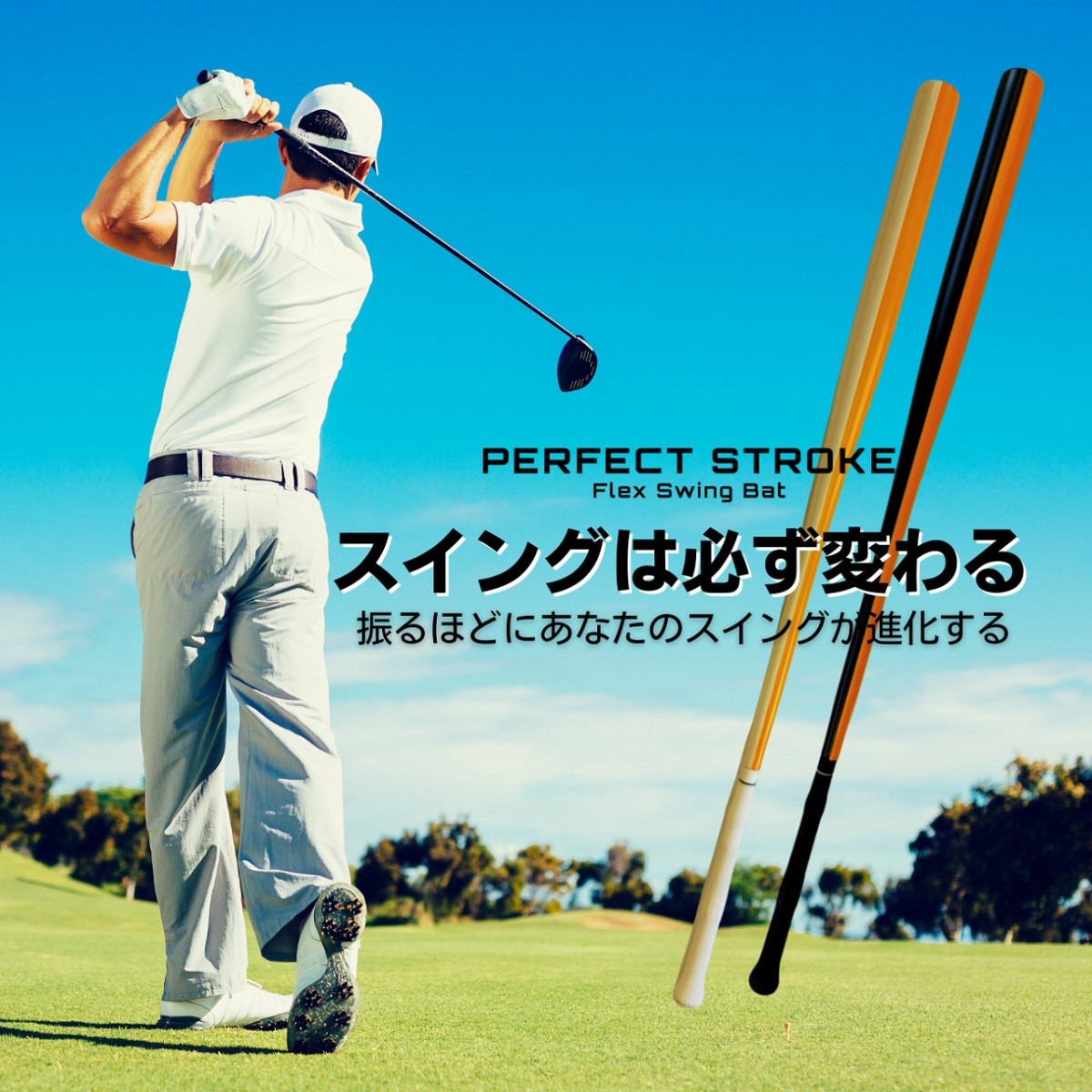 パーフェクトストローク FLEX SWING BAT プロ監修 ゴルフ スイング
