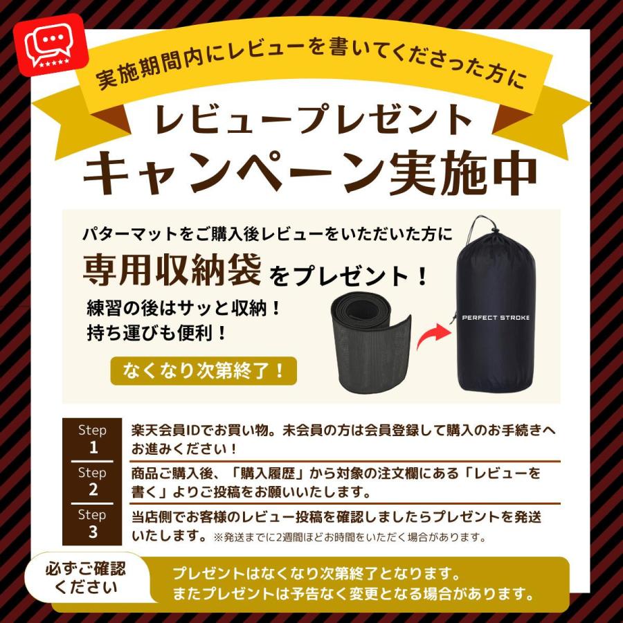 PERFECT STROKE（パーフェクトストローク） 【10月上旬出荷】片山晋呉