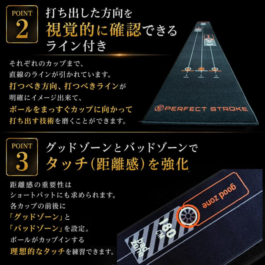 PERFECT STROKE（パーフェクトストローク） 【10月上旬出荷】片山晋呉