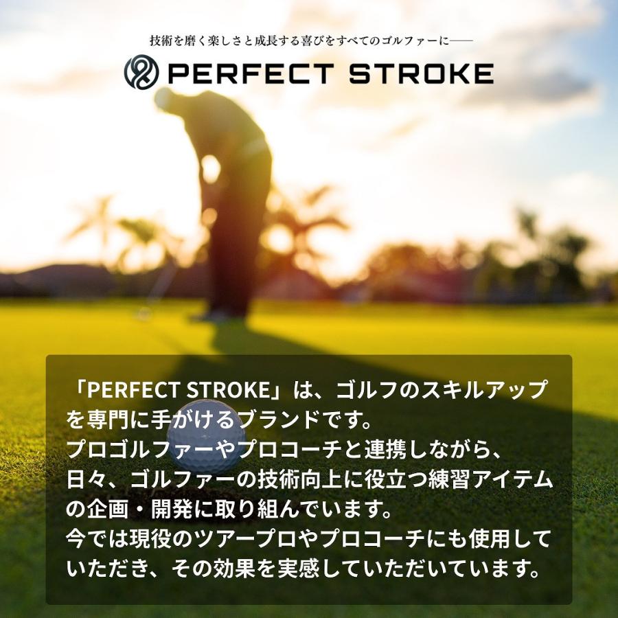 パーフェクトストローク公式 3Dパターマット プロコーチ推薦 パター