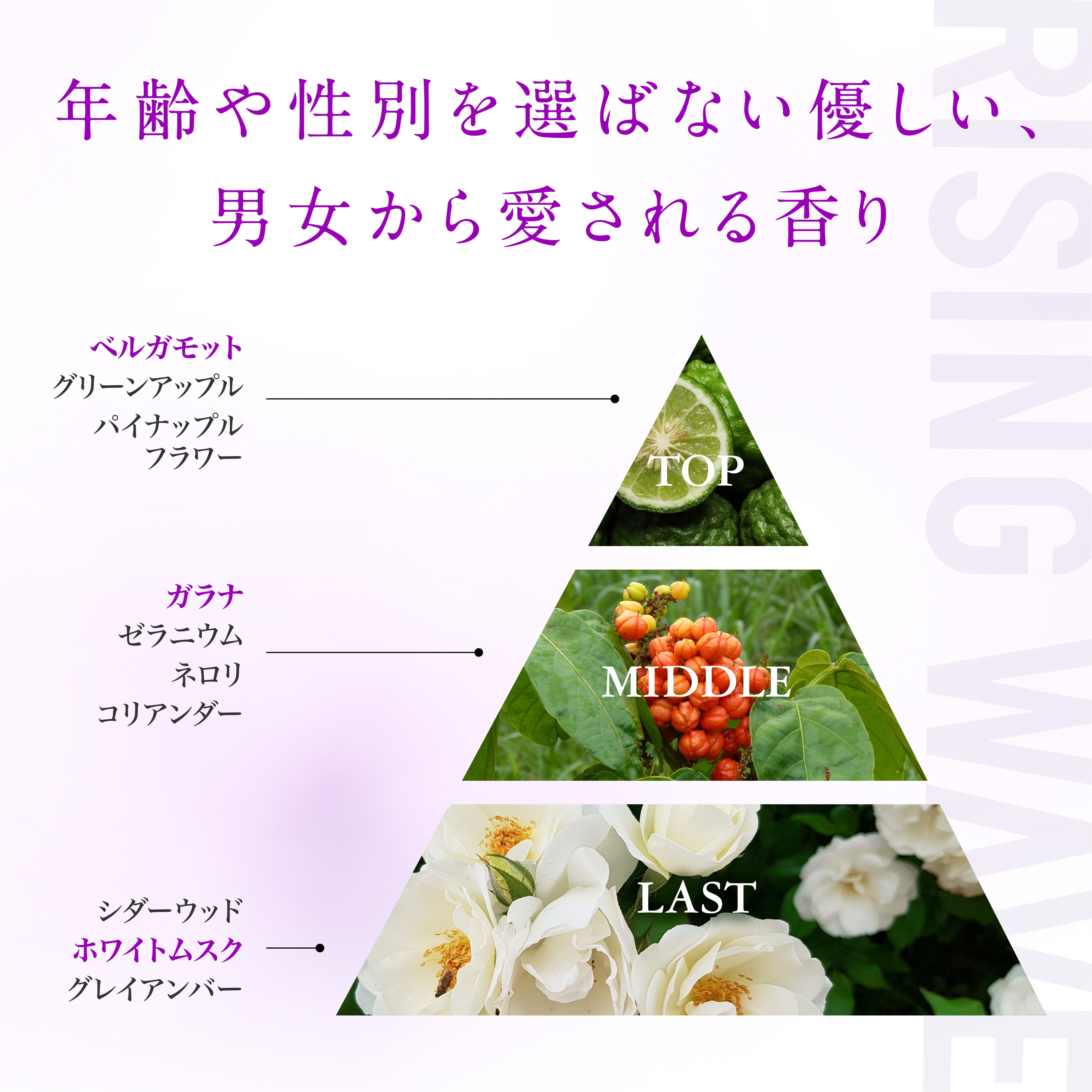 RISINGWAVE（ライジングウェーブ） 公式 ゼロエクスタシー