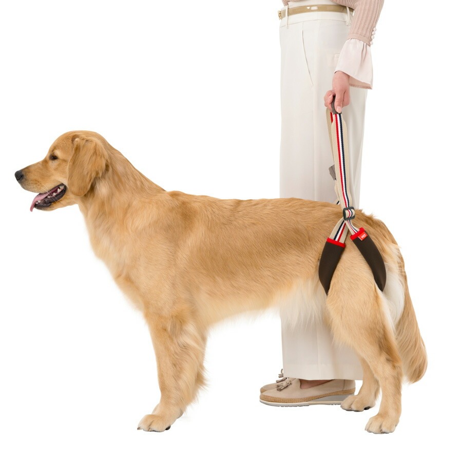 介護ハーネス LaLaWalk STEP  中型犬・大型犬用 フレンチカフェオレ 2TE0011-28 歩行補助 高齢犬 シニア 散歩 後ろ足 介護用_1