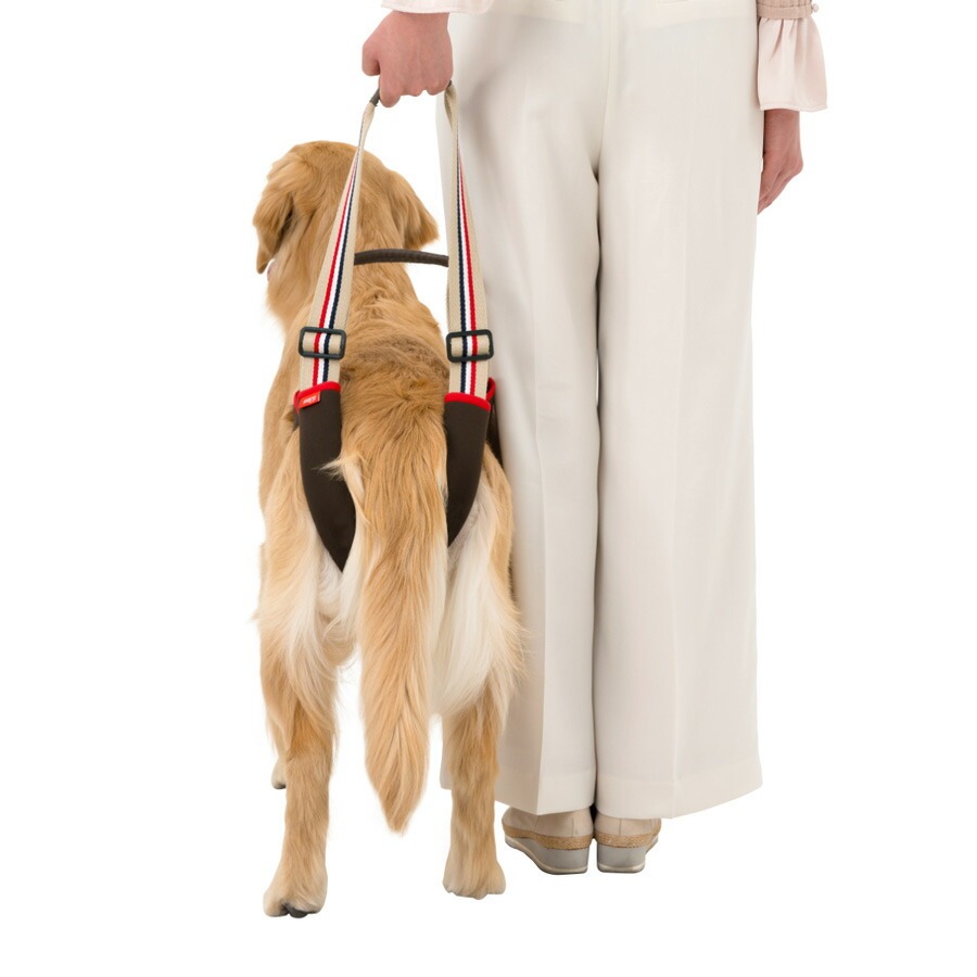 介護ハーネス LaLaWalk STEP  中型犬・大型犬用 フレンチカフェオレ 2TE0011-28 歩行補助 高齢犬 シニア 散歩 後ろ足 介護用_3