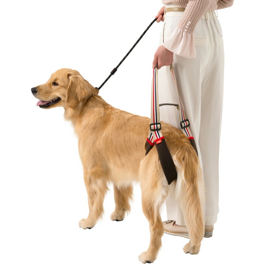 介護ハーネス LaLaWalk STEP  中型犬・大型犬用 フレンチカフェオレ 2TE0011-28 歩行補助 高齢犬 シニア 散歩 後ろ足 介護用_2