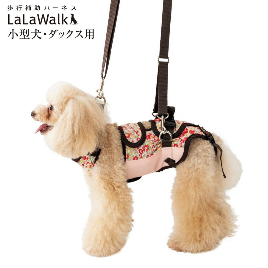 歩行補助ハーネス LaLaWalk 小型犬・ダックス用 フラワー 高齢犬 散歩