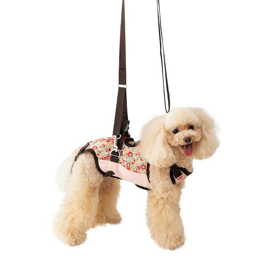 ミニチュアダックス用車いすとハーネスのセット 黒／赤（新品、未使用品） 犬用車椅子 歩行器 リハビリ ミニチュアダックス専用 ペット用 補助輪