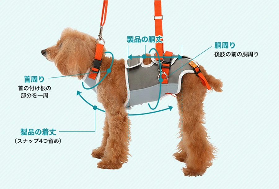 LaLaWalk（TOMBOW） 歩行補助ハーネス LaLaWalk 小型犬・ダックス用