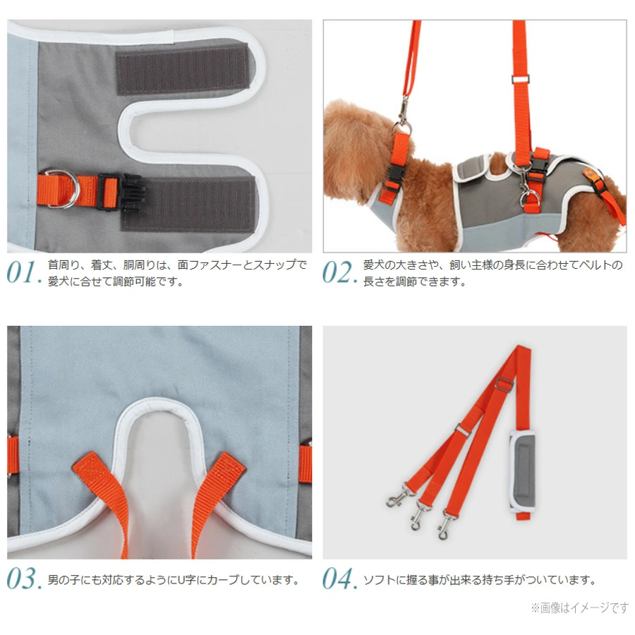 LaLaWalk（TOMBOW） 歩行補助ハーネス LaLaWalk 小型犬・ダックス用