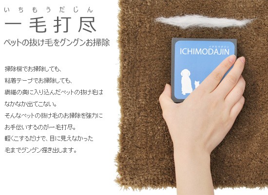一毛打尽　ペットの抜け毛をグングンお掃除