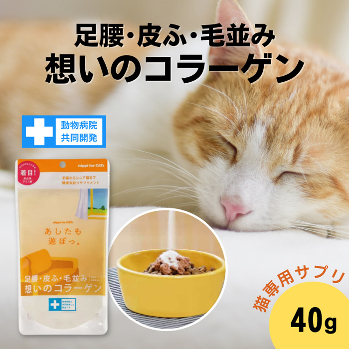 足腰 皮ふ 毛並み コラーゲン 猫用 サプリメント あしたも遊ぼっ 40g ニッピ 非必須アミノ酸 日本産 獣医師共同開発 猫用健康補助食品 5kgの猫約4ヶ月分  休み