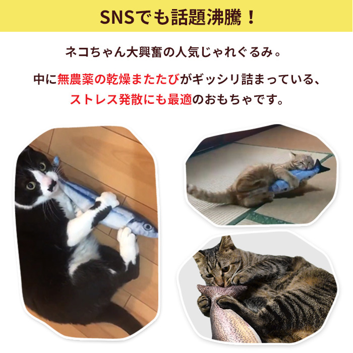 【絶盤】sori sawada『魚と猫』 絶盤】sori sawada『魚と猫』