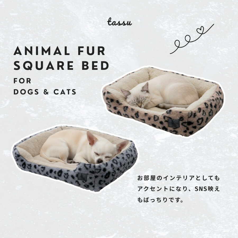 ペット アニマルファー スクエアベッド Sサイズ 超小型犬〜小型犬・猫 ペットベッド 洗える お洒落 小型犬 犬用 猫用 tassu タッス 小泉ライフテックス |  | 07