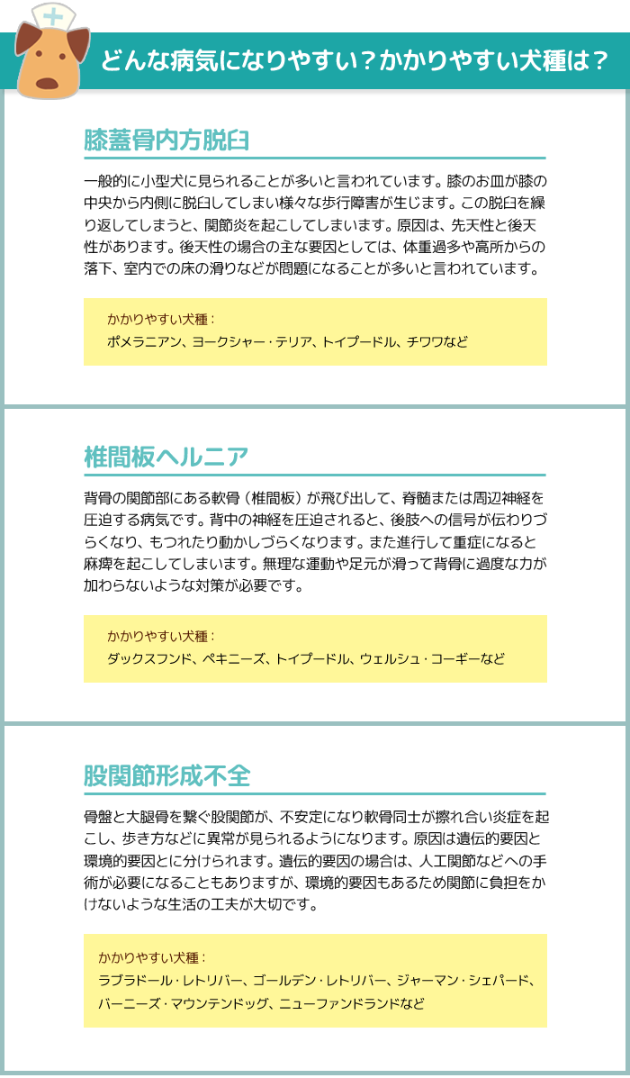 リンレイ 滑り止め 床用コーティング剤 シートタイプ 犬用 猫用 ペット すべり止め ワックス フローリング 滑り 関節保護 怪我防止 廊下 関連画像3