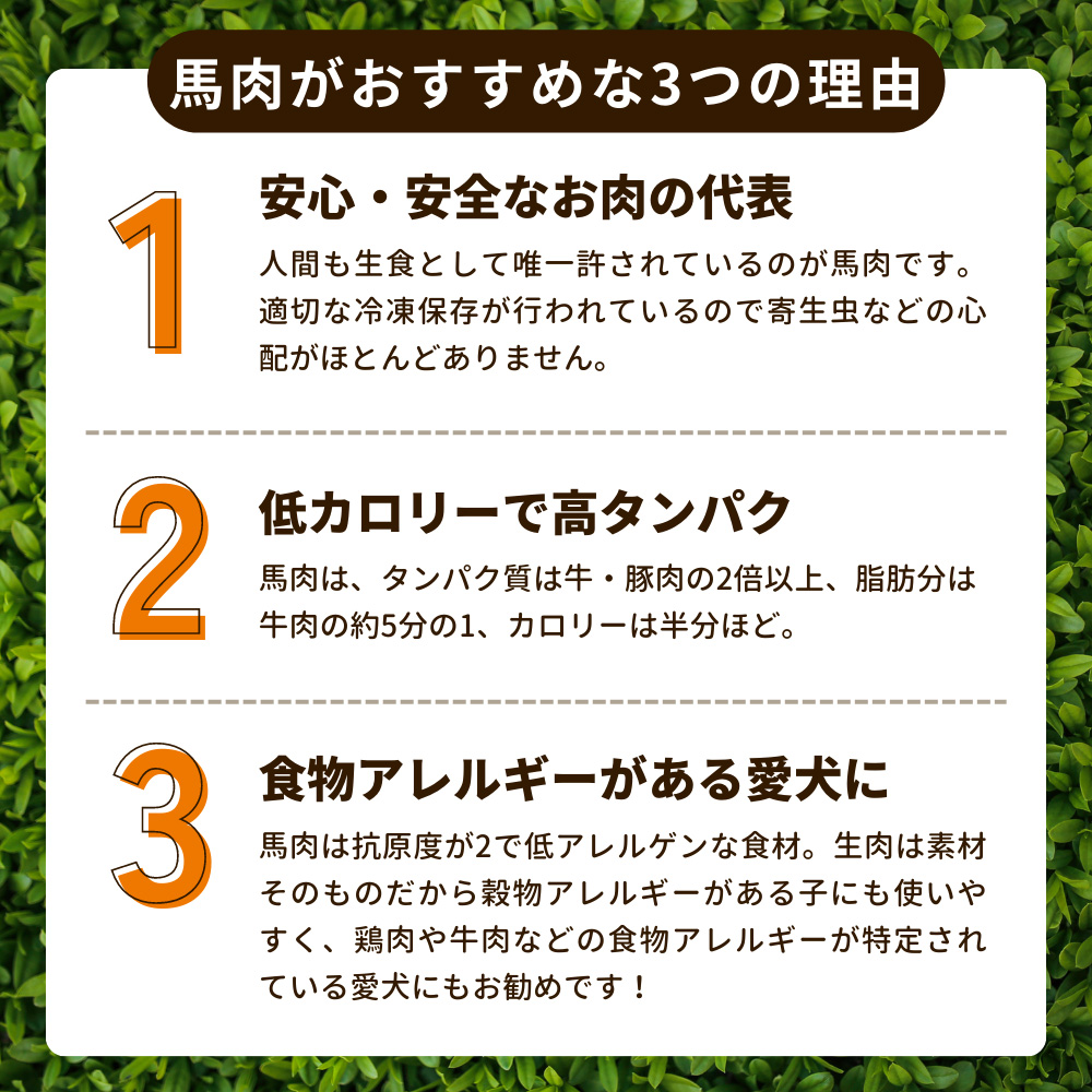 冷凍便 犬用 馬肉 生馬肉 ブロック 1kg [500g×2] ドッグフード トッピング ヘルシー 穀物アレルギーの愛犬に 愛猫にも｜five-1｜06