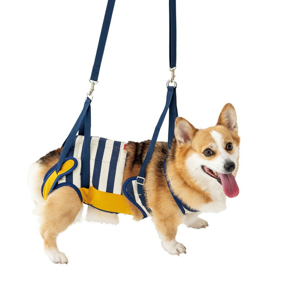 歩行補助ハーネス LaLaWalk 中型犬・コーギー用 ボーダーミモザ