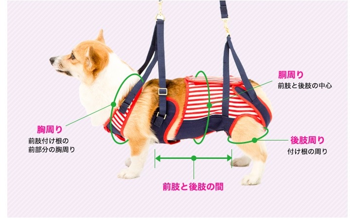 歩行補助ハーネス LaLaWalk 中型犬・コーギー用 ボーダーミモザ