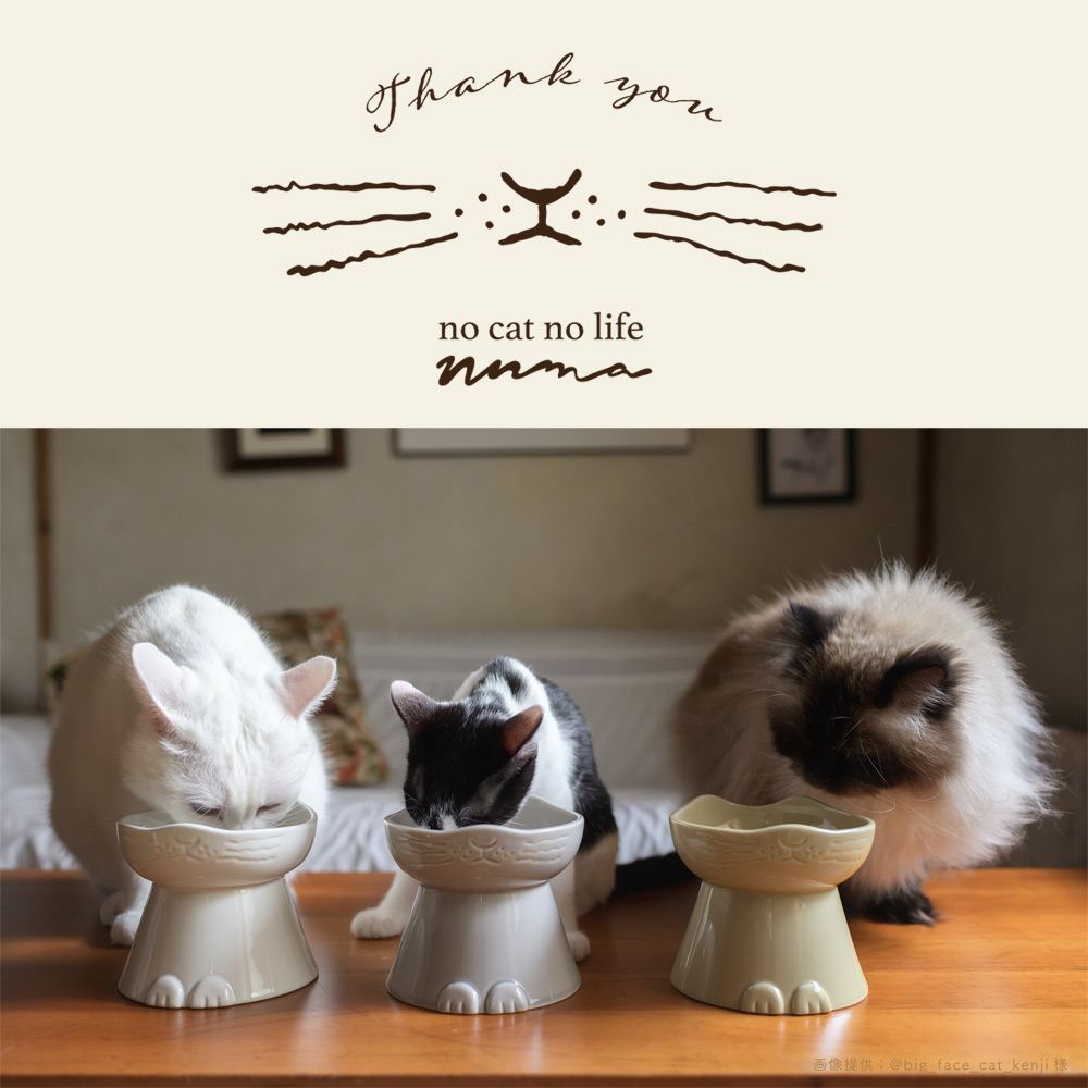 nnma んーま 猫用 フードボウル 日本製 磁器 脚付き 美濃焼 食器 食べ