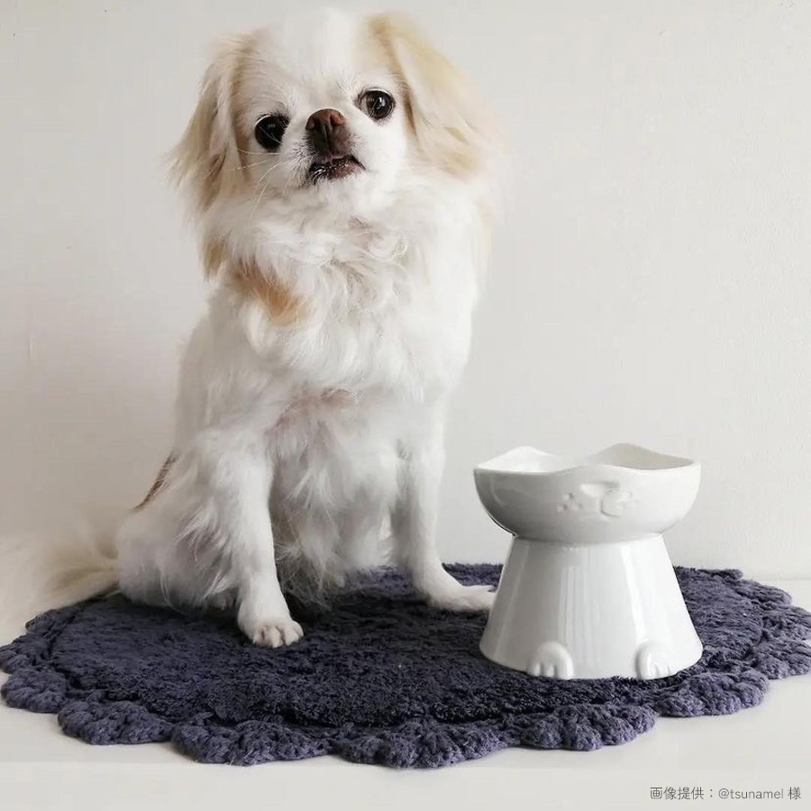 nnma んーま 犬用 フードボウル 日本製 磁器 脚付き 美濃焼 食器 食べ