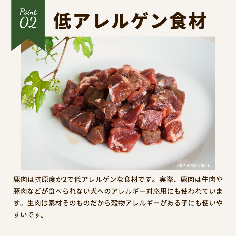 冷凍便 愛犬用生肉　北海道産 エゾ鹿肉パーフェクトミートボール 約300g（15個入り） 常温品同梱不可 ドッグフード 肉の日