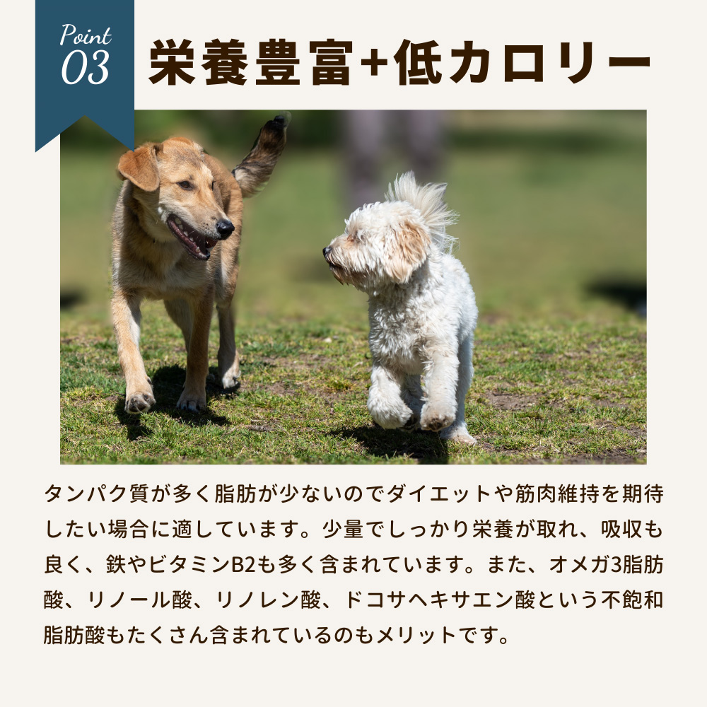 冷凍便 愛犬用生肉　北海道産 エゾ鹿肉パーフェクトミートボール 約300g（15個入り） 常温品同梱不可 ドッグフード 肉の日