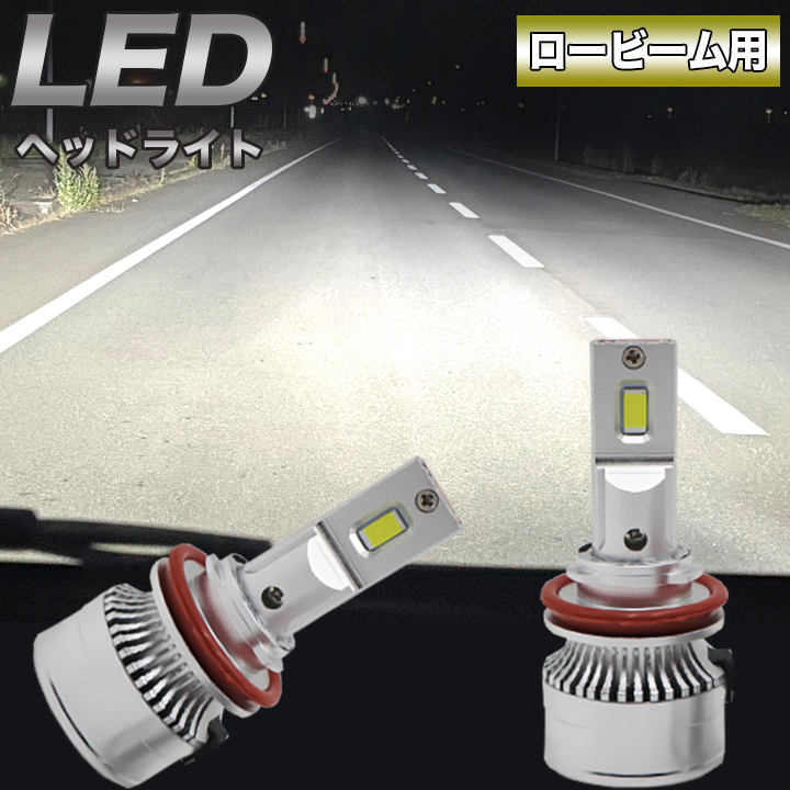 lobeam-csp-1.jpg
