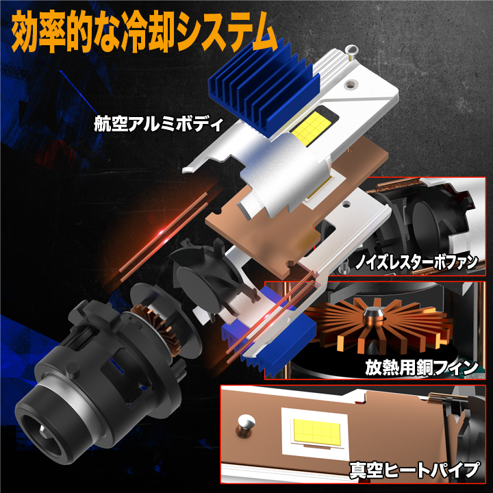 new-d2.d4-6.jpg