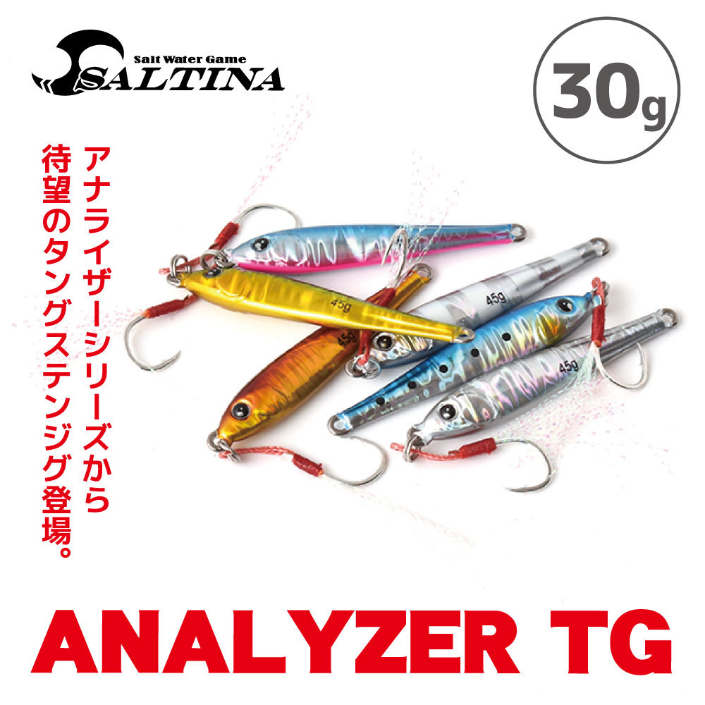 コスパ最強！タングステンジグ SALTINA ANALYZER TG 30g/ ソルティナ