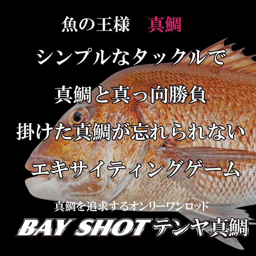 真鯛を追求するオンリーワンロッド BAY SHOT 真鯛テンヤ 240MH/ベイ