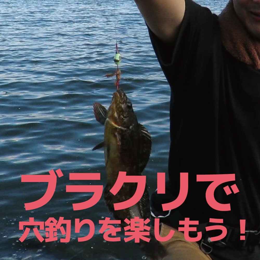 穴釣りに必須！！ ブラクリ2号/穴釣り/カサゴ/メバル/アイナメ/根魚