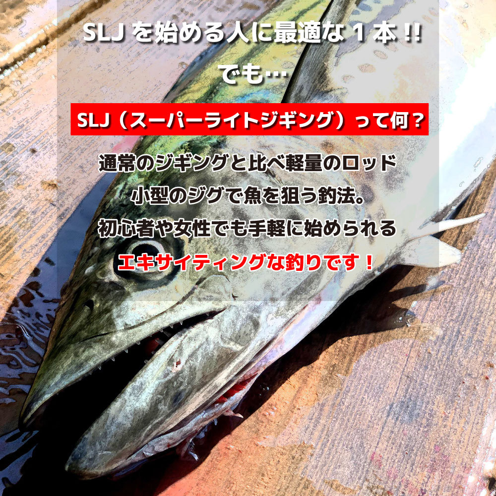 SEA MASTER type-SLJ S60MH/スーパーライトジギング/SLJ/船釣り/FIVE