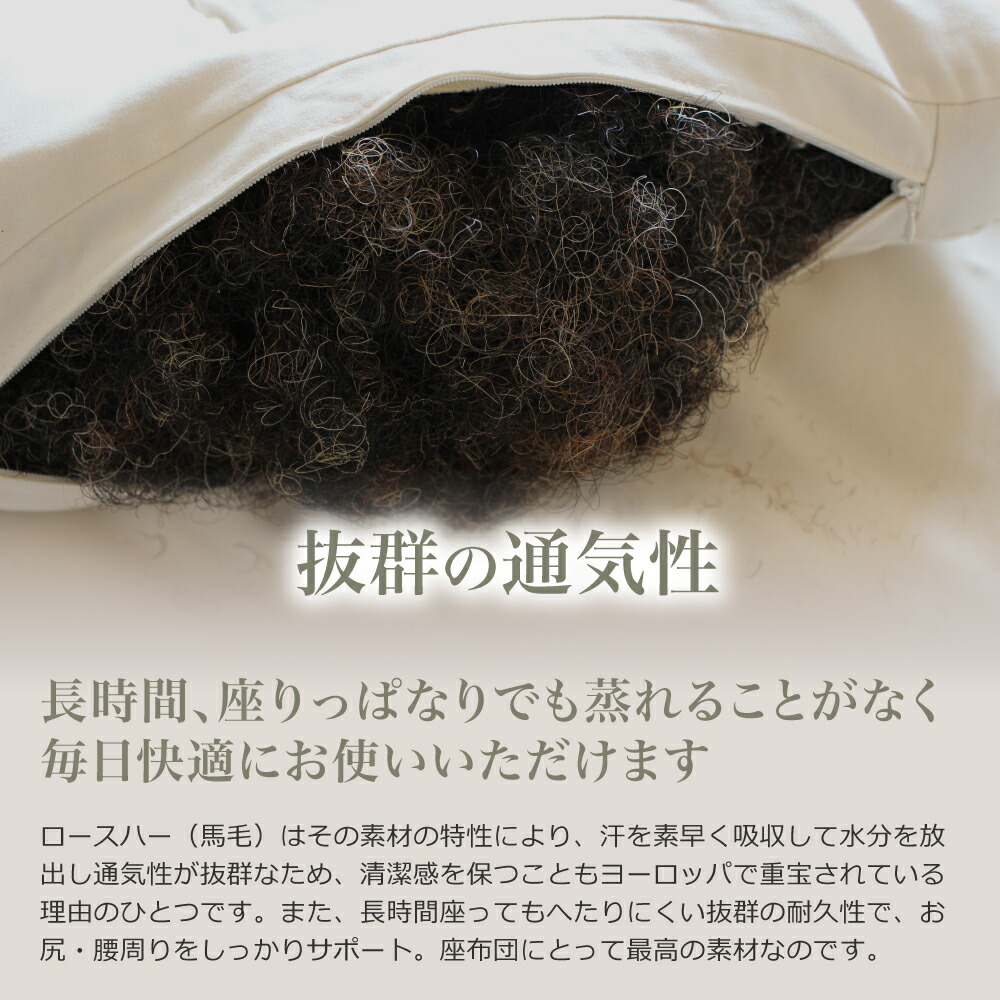 格安SALEスタート！格安SALEスタート！馬毛クッション45×45cm 座布団 馬毛100% 綿100％ ロースハー 天然素材 オーガニック  デスクワーク Moosburger シェーンベルグ 送料無料 クッション