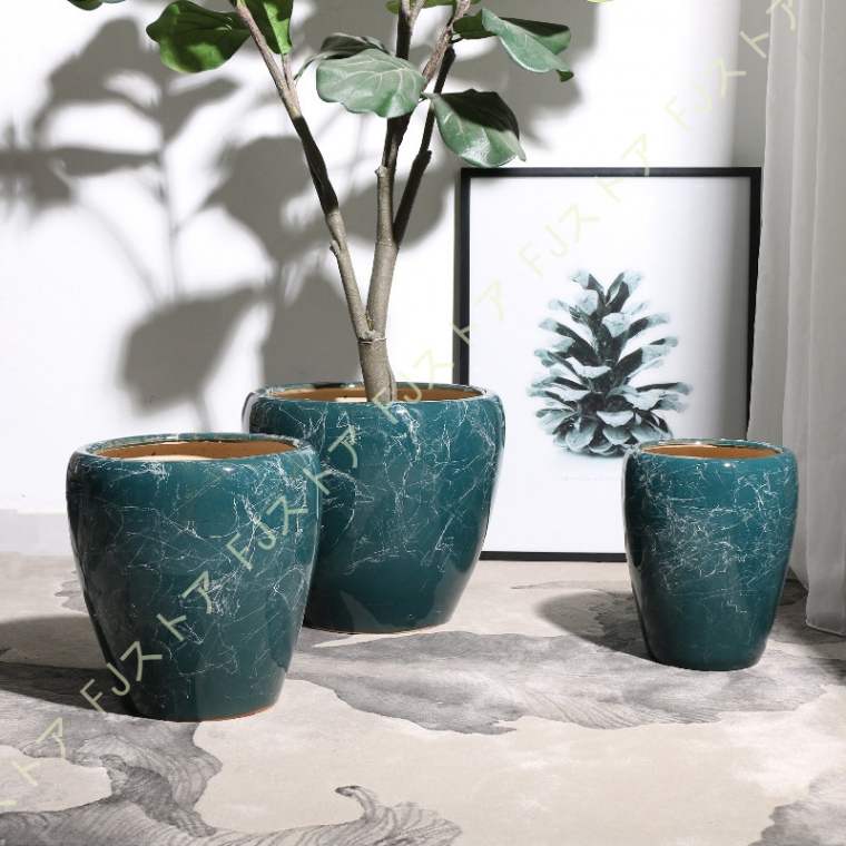 フィカス 植物 約45cm 陶器鉢