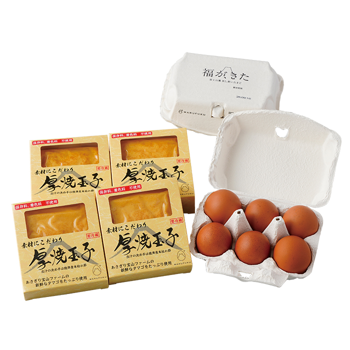 y|Cg10{z04-02 }tN iAj&amp;fނɂċʎq F713 | 2025NΕ Mtg