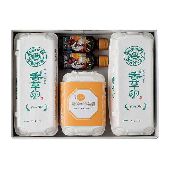 y|Cg10{z09-02 _Ɩ@la݂̓m 藑Zbg F620 | 2025NΕ Mtg