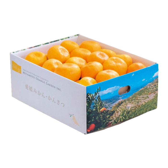 y|Cg10{z18-10 QFaY B݂iRkgj 5701 | 2025NΕ Mtg