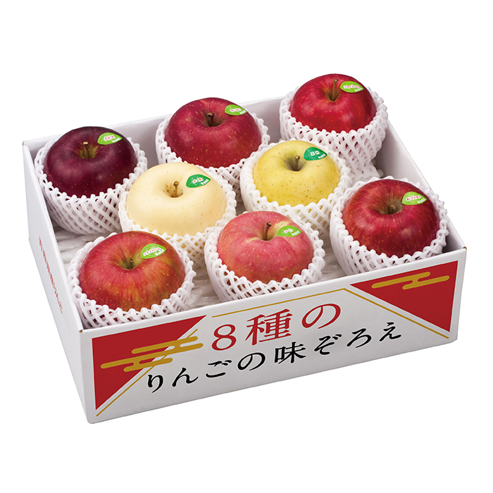 y|Cg10{z27-07 L[GC XY Ŵ񂲂̖낦 F453 | 2025NΕ Mtg