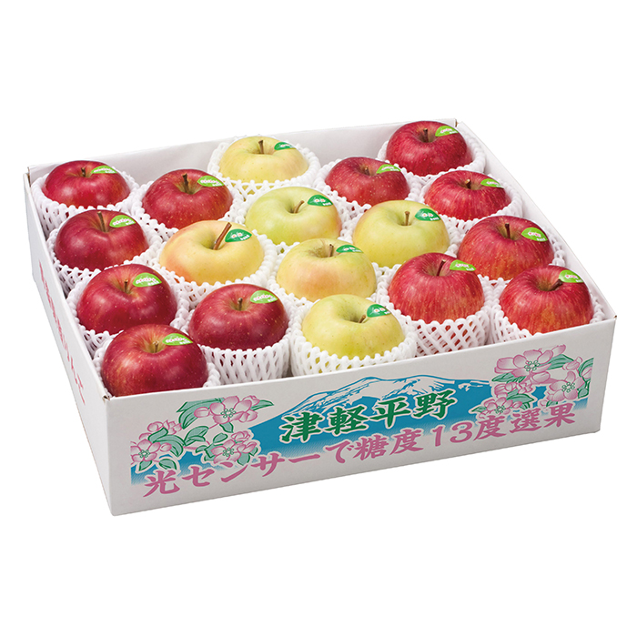 y|Cg10{z27-09 L[GC x13xI VimXC[gE ETӂ̊Ön񂲋l4.3kg F455 | 2025NΕ Mtg